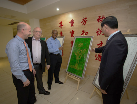 强强联手，构建多元化产学研合作，推动科技产业双丰收